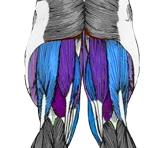 Mrtvý tah s nataženýma nohama