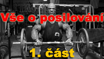 Vše, co jste chtěli vedět o posilování - 1.část