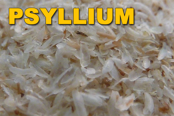 Psyllium jako dar přírody